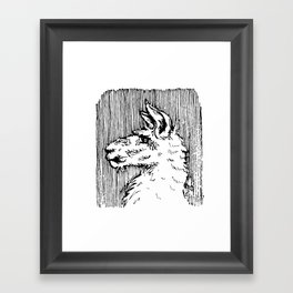 Llama Framed Art Print