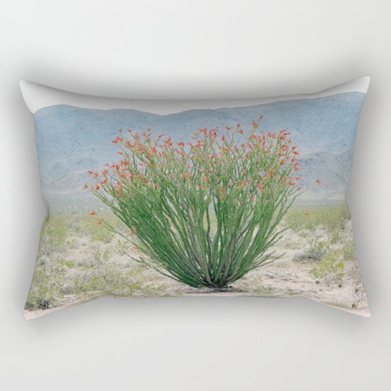 Ocotillo Plant (Anza Borrego Desert, California) Rectangular Pillow