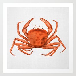 Crab - Watercolor Art Print