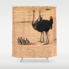 South Africa Photography - Ostrich Parents With Their Children Shower Curtain