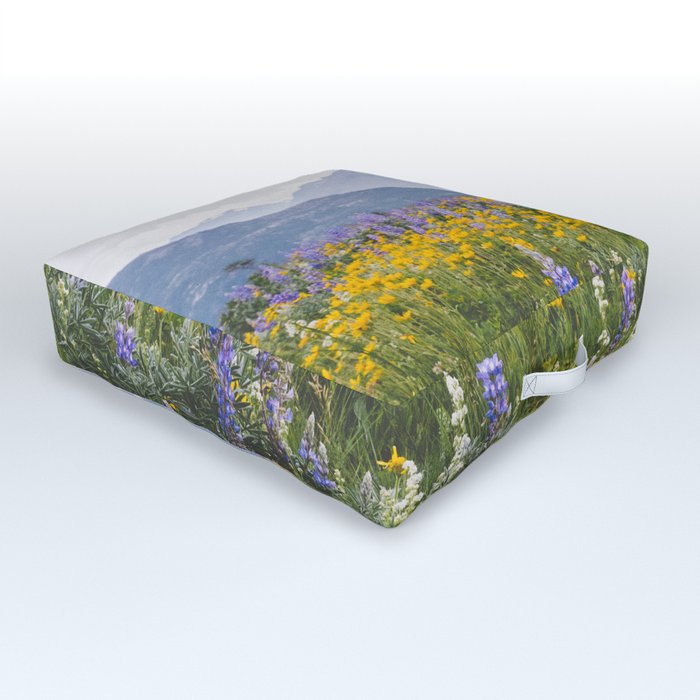 Waterton Wildflowers Outdoor Floor Cushion