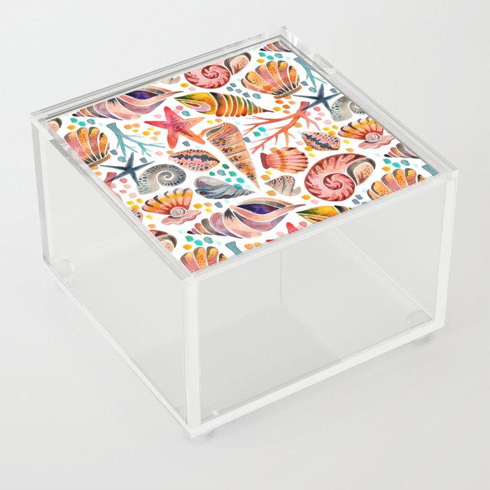 Painted Seashells – Coral & Blue Acrylic Box