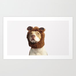pit bull dog hat cool funny Art Print
