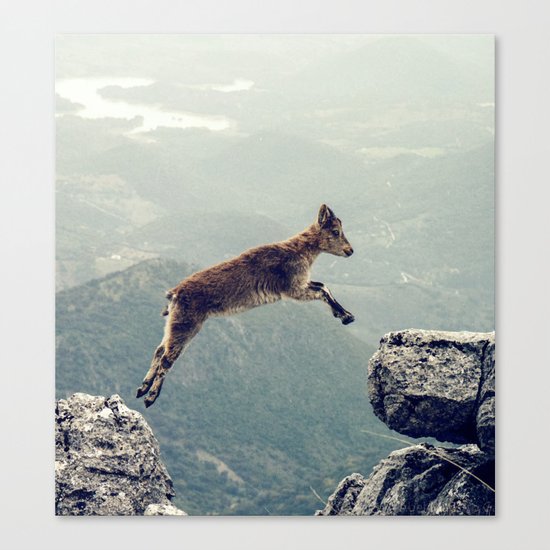 Mountain Goat Canvas Print