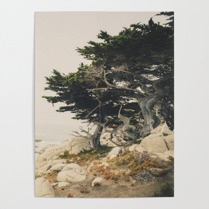 Carmel by the Sea Poster