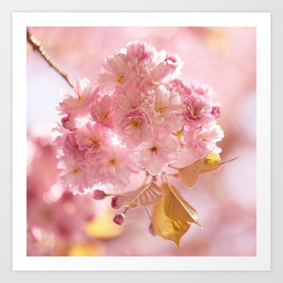 Sakura - Cherryblossom - Cherry blossom - Pink flowers on #Society6 Art Print