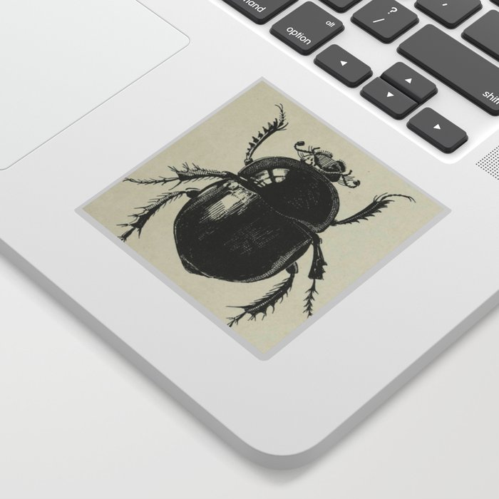 Antiquarian Beetles Sticker