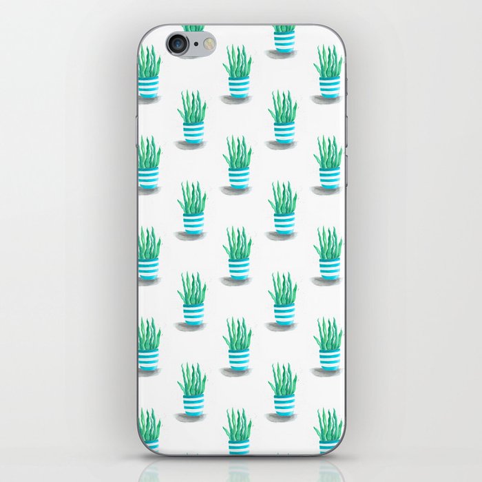 Succulents in a turquoise pot iPhone Skin