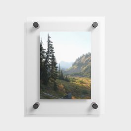 Sunrise Alpine Valley North Cascades Washington Forest Landscape Photography Hiking Trail Wilderness Nature Outdoors Floating Acrylic Print