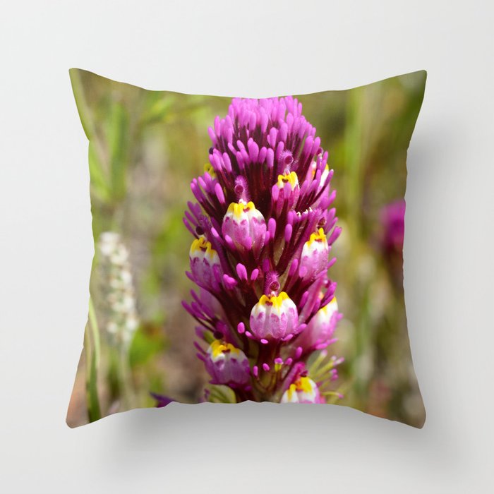 Purple Owl S Clover Throw Pillow By Benjamindionphotography Society6