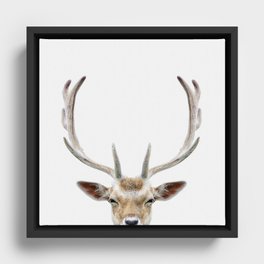 Deer Head Framed Canvas