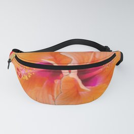 TWO ORANGE HIBISCUS FLOWERS RED ART Fanny Pack