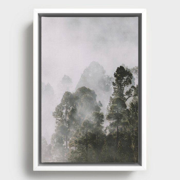 Tall forest trees above the morning mist Framed Canvas