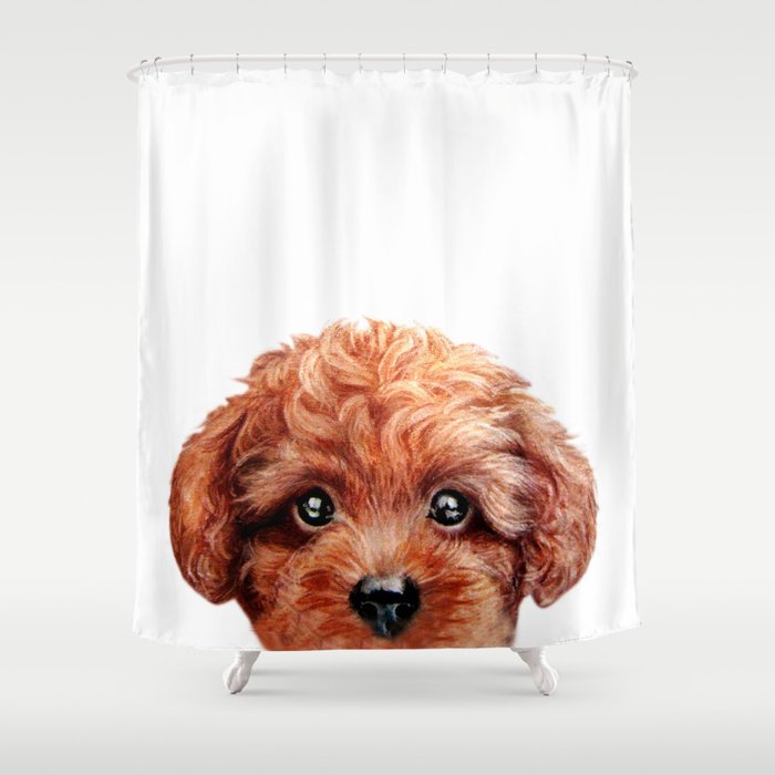 Toy Poodle Red Brown Dog Ilration, Poodle Shower Curtain Hooks