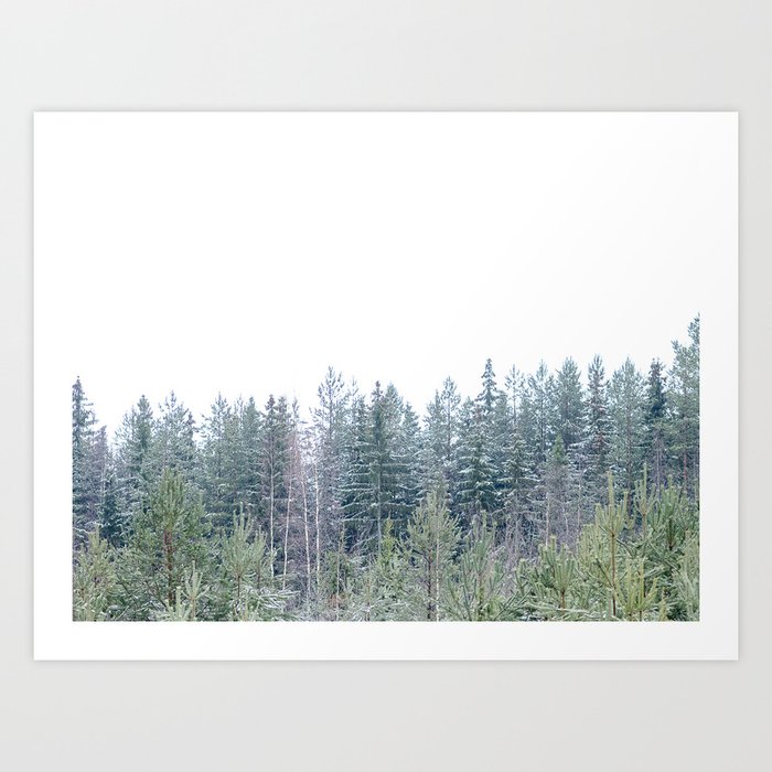 Green Pine Tree Tops and White Sky Finland  Art Print