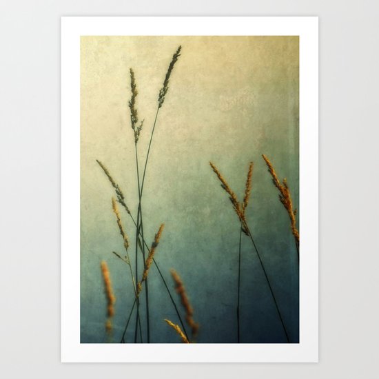 Wild and Free Art Print