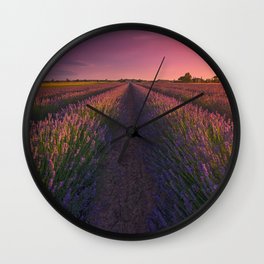 Lavender flowers fields at sunset. Cecina, Tuscany Wall Clock