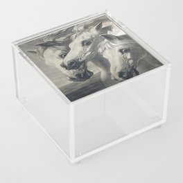 The Pharoah's Chariot Horses  Acrylic Box