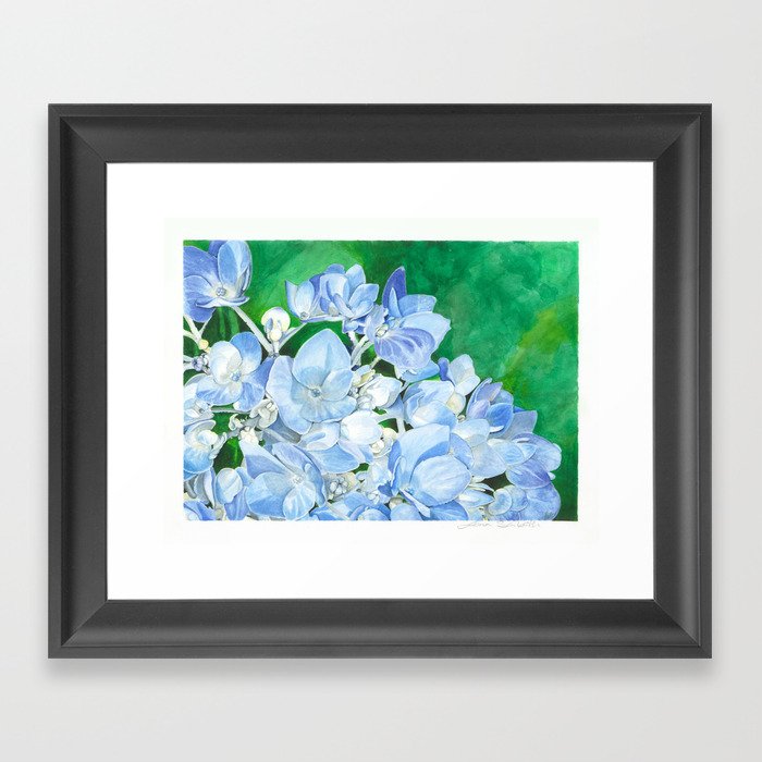 Watercolor Hydrangea Blossoms Framed Art Print