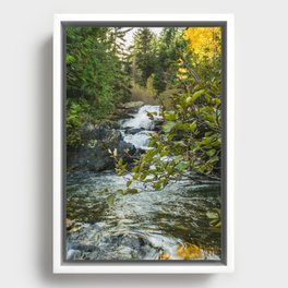 Waterfall Creek, Washington Autumn Framed Canvas