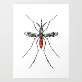 Mosquito Art Print