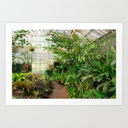 Greenhouse Gardening Art Print