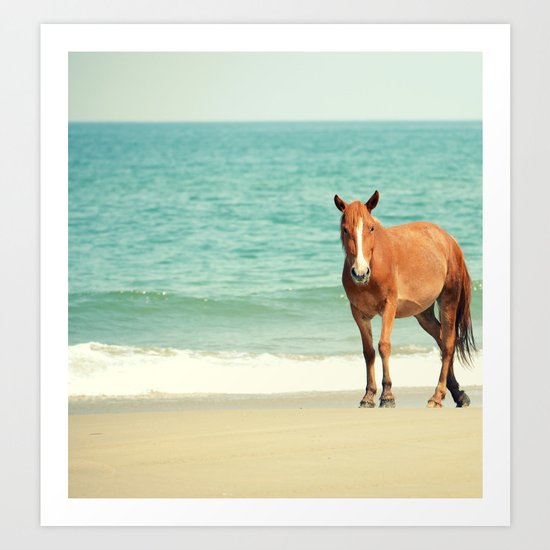 Wild Mustang of Carova, NC Art Print