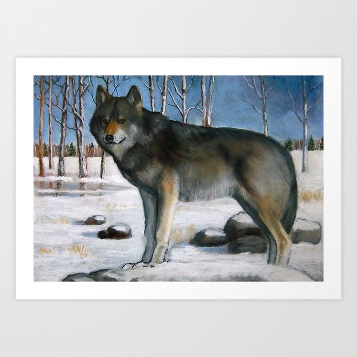 Grey Wolf In Winter Oil Pastel Painting Art Print By Joyart