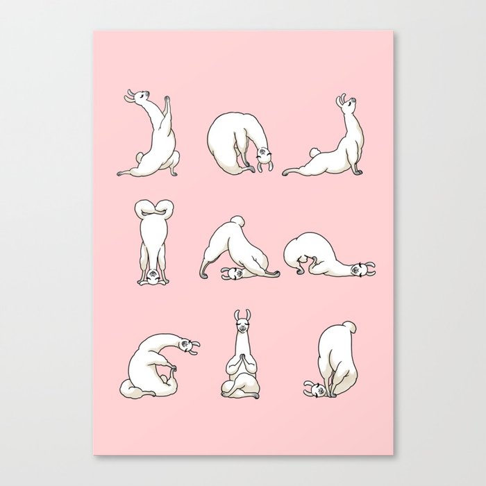 Yoga LLama in Pink Canvas Print