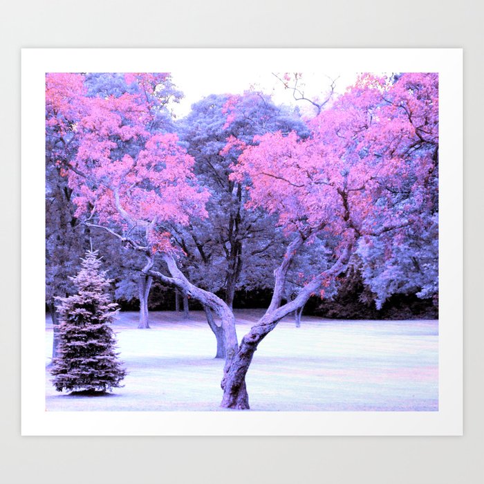 Pink & Purple Tree Landscape Art Print