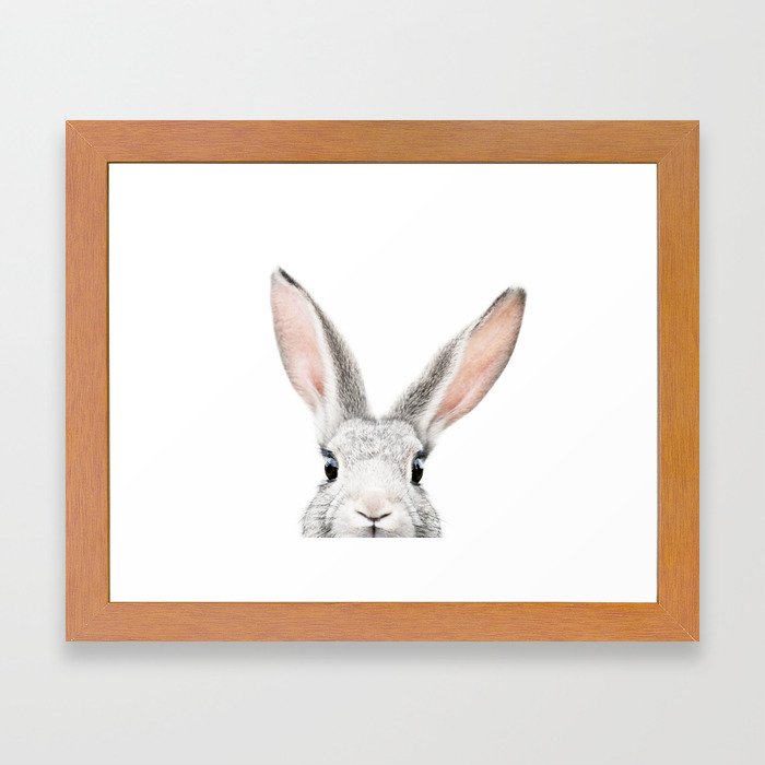 Hello Bunny Framed Art Print
