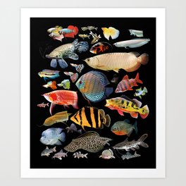 Discus Fish Art Prints Society6