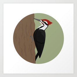 Pileated Woodpecker Art Print