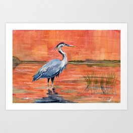 Great Blue Heron in Marsh Art Print