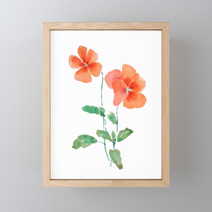 orange pansy watercolor  Framed Mini Art Print
