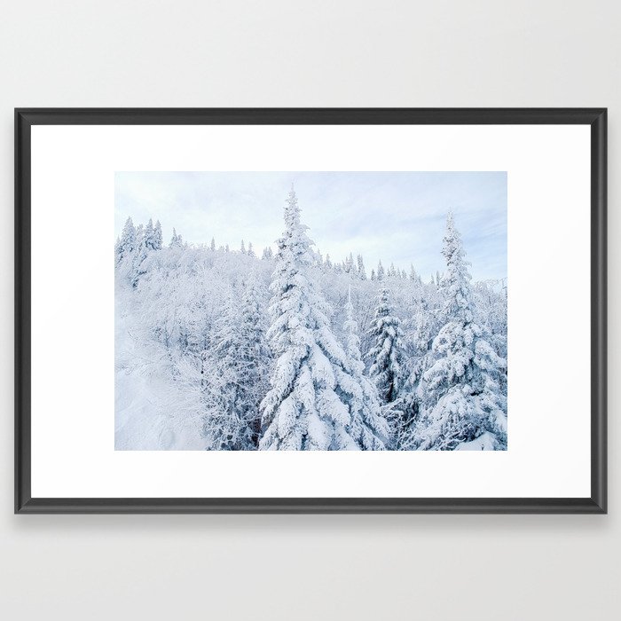 Snow covered forest Framed Art Print