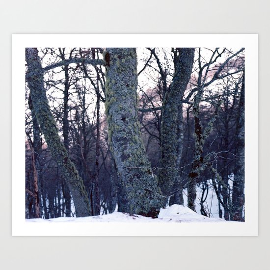 feel tree Art Print