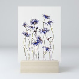 Blue Cornflowers, Illustration Mini Art Print
