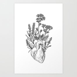 Medicinal herbs Art Print