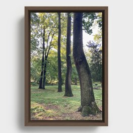 Shift to the Left Tree Framed Canvas