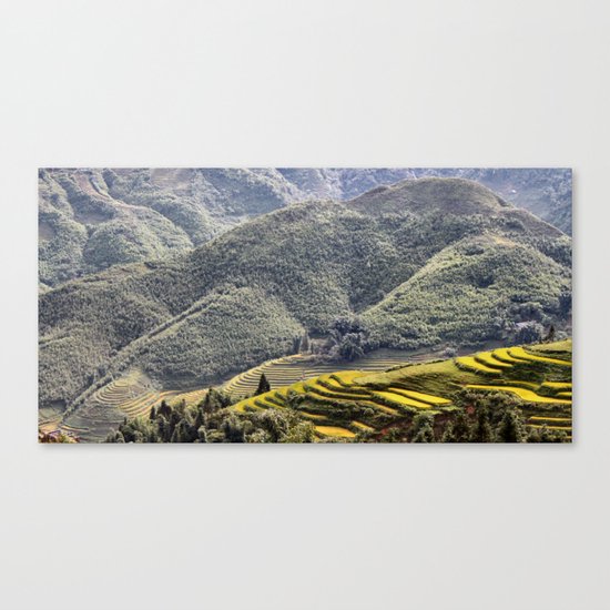 Teraces of Rice Canvas Print