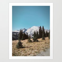 Summer at Mt Rainier Art Print