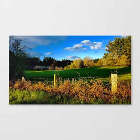 Golden Evening Light Across A Field Canvas Print