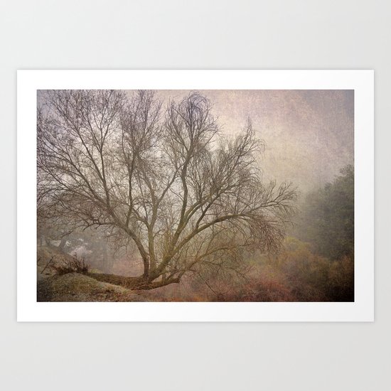 Morning in the fog Art Print
