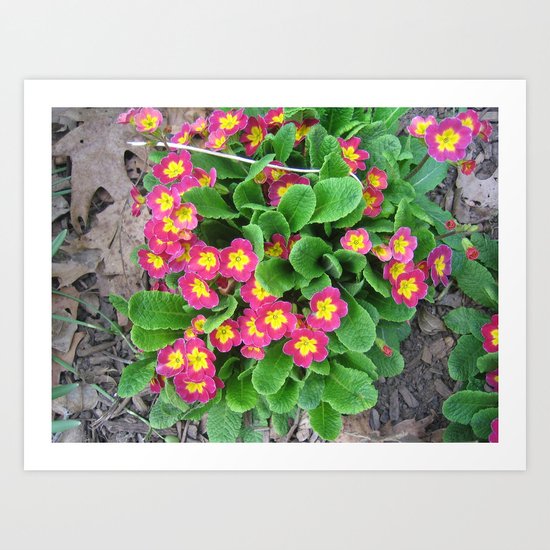 park pic 045 Art Print