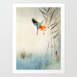 Kingfisher diving for fish - Vintage Japanese Woodblock Print  Art Print