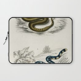 Elephant Trunk Snake & Columbrine Sea Krait Laptop Sleeve