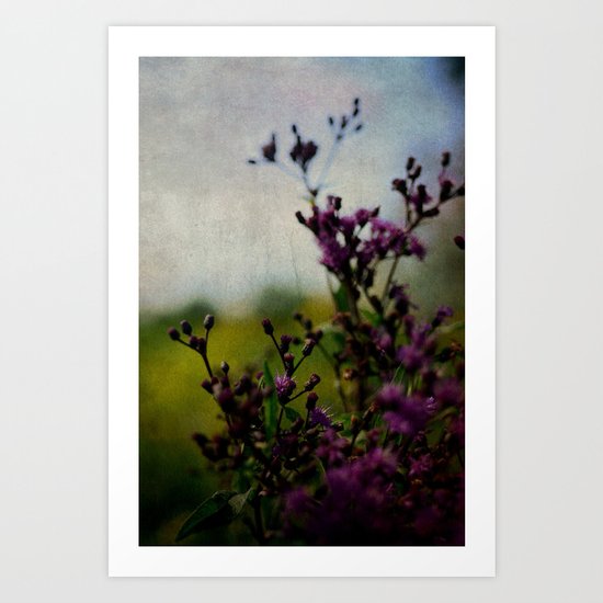 Ironweed Art Print