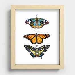 Butterflies Collection Recessed Framed Print