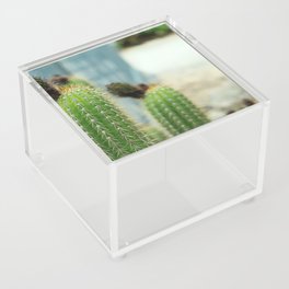 Cactus Acrylic Box